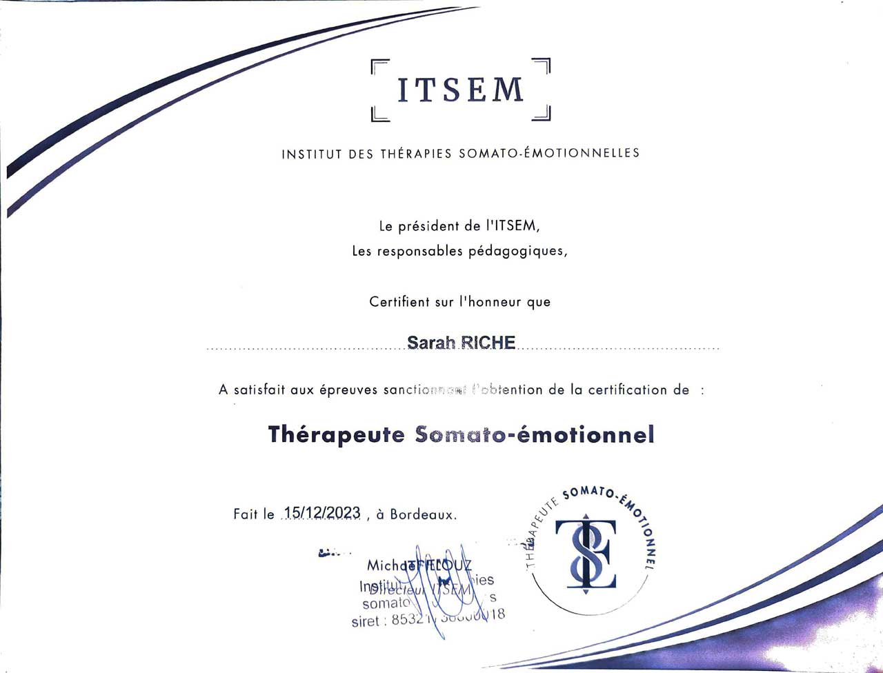 Certification de thérapeute somato-émotionnel – Accompagnement psychocorporel L'élan de vie (82).